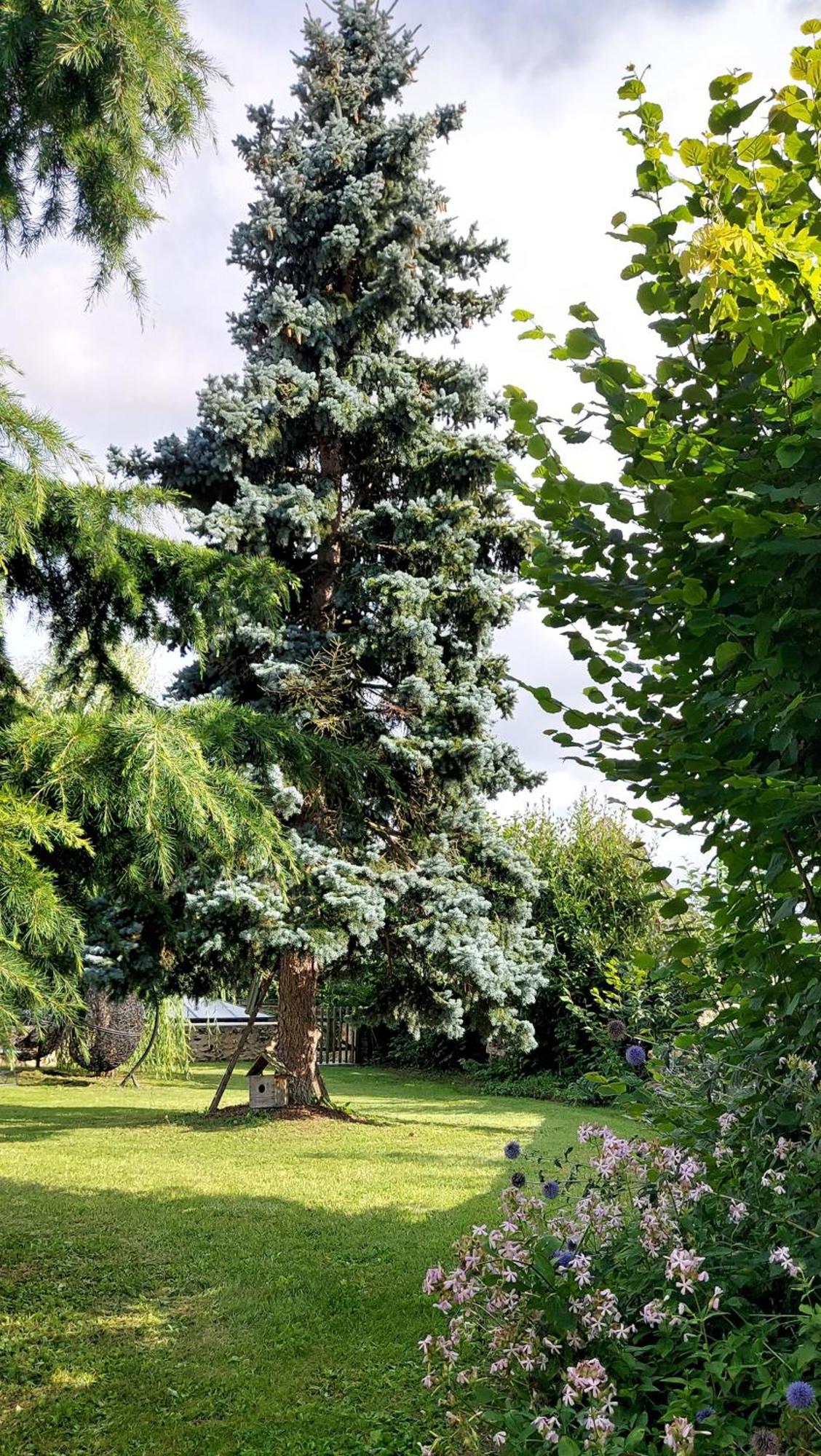 Bed and Breakfast La Bergerie-En-Vexin Jambville Exterior foto